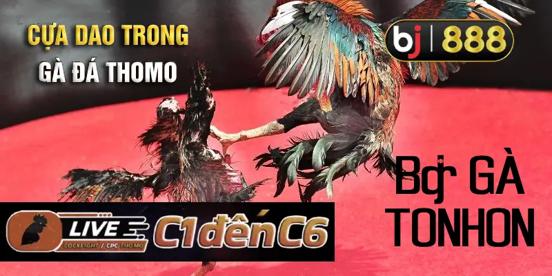 Bo-ga-Tonhon